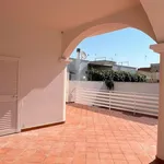 Rent 3 bedroom apartment of 73 m² in Alezio