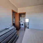 Rent 2 bedroom apartment of 40 m² in Roma