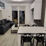 Rent 3 bedroom apartment of 70 m² in Częstochowa