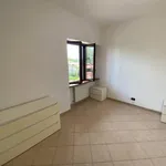 Rent 3 bedroom apartment of 73 m² in Roma