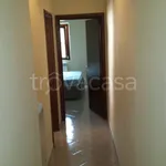 Rent 3 bedroom apartment of 70 m² in Frosinone