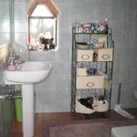 Rent 4 bedroom house of 130 m² in Pistoia