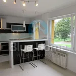 Rent 3 bedroom apartment of 53 m² in Leszno