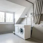 Rent 1 bedroom apartment of 45 m² in dusseldorf