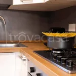 Rent 2 bedroom apartment of 45 m² in Roma