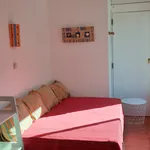 Rent 1 bedroom apartment of 49 m² in Santa Luzia