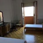 Rent a room in bologna