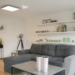 Rent 4 bedroom apartment of 185 m² in den-haag