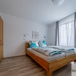 Miete 2 Schlafzimmer wohnung von 47 m² in Nuremberg