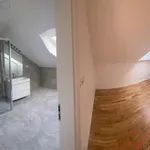 Rent 1 bedroom house of 355 m² in Ostrava