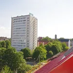 Rent 3 bedroom apartment of 75 m² in Chemnitz