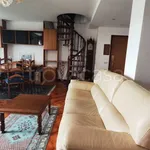 Rent 4 bedroom apartment of 134 m² in Pavia