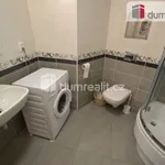 Rent 1 bedroom apartment in Capital City of Prague