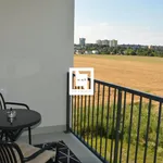 Rent 1 bedroom apartment of 39 m² in Olomouc