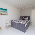 Rent 1 bedroom apartment of 100 m² in berlin