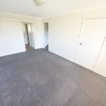 Rent 1 bedroom house in  West Tamworth NSW 2340                        