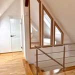 Rent 1 bedroom apartment in stuttgart