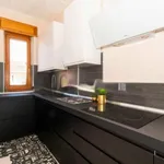 Rent 2 bedroom apartment in Turin