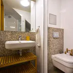 Pronajměte si 1 ložnic/e byt o rozloze 65 m² v Prague