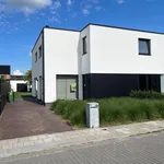 Huur 3 slaapkamer huis van 428 m² in Sijsele