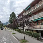 Rent 2 bedroom apartment of 50 m² in Trento