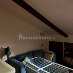 Rent 3 bedroom apartment of 100 m² in Turin