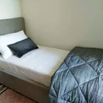 Rent 2 bedroom apartment of 90 m² in Bologna