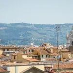 Rent 1 bedroom apartment of 50 m² in Florence