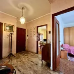 Rent 3 bedroom apartment of 80 m² in Turin