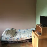 Rent 2 bedroom apartment in Třebíč