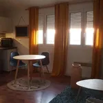 Appartement de 24 m² avec 1 chambre(s) en location à Uzès