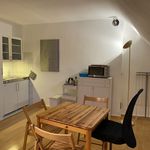 Rent 1 bedroom apartment of 45 m² in Frankfurt