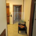 Rent 4 bedroom house of 176 m² in Montignoso