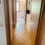 Rent 2 bedroom apartment of 70 m² in Verona