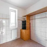 Rent 1 bedroom house of 120 m² in Praha