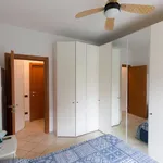 2-room flat via dell'Olmo 38, Villaggio Ambrosiano, Segrate