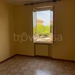 Rent 3 bedroom apartment of 88 m² in Roma