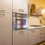 Rent 1 bedroom apartment in florence