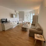 Rent 1 bedroom apartment of 44 m² in Milano