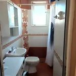 Rent 3 bedroom apartment of 75 m² in Каменица 2