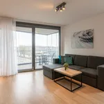 Rent 2 bedroom apartment of 62 m² in Regensburg