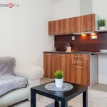 Pronajměte si 1 ložnic/e byt o rozloze 20 m² v Trhový Štěpánov