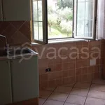 Rent 4 bedroom apartment of 90 m² in Frosinone