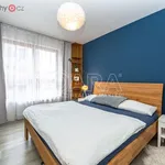 Rent 3 bedroom apartment of 87 m² in Trhový Štěpánov