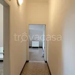 Rent 2 bedroom apartment of 45 m² in Bologna