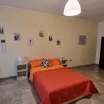 Rent 3 bedroom apartment in Naples