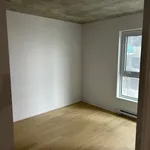  appartement avec 3 chambre(s) en location à Montreal