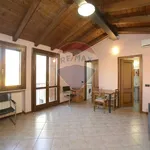 Rent 1 bedroom apartment of 40 m² in Ferrara