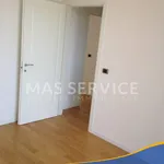 Rent 3 bedroom apartment of 100 m² in Roma