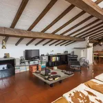 Rent 2 bedroom apartment of 80 m² in Firenze